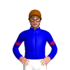 Jockey Silk