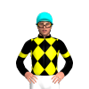 Jockey Silk