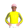 Jockey Silk