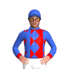 Jockey Silk