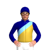 Jockey Silk