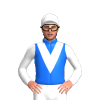 Jockey Silk