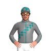 Jockey Silk