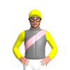 Jockey Silk