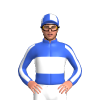 Jockey Silk