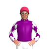 Jockey Silk