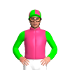 Jockey Silk