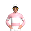 Jockey Silk