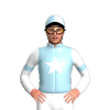 Jockey Silk