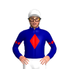 Jockey Silk