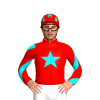 Jockey Silk