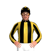 Jockey Silk