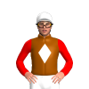 Jockey Silk