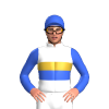 Jockey Silk