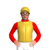 Jockey Silk