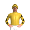 Jockey Silk