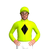 Jockey Silk