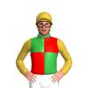 Jockey Silk