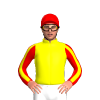 Jockey Silk