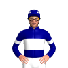 Jockey Silk