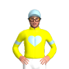 Jockey Silk