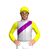 Jockey Silk