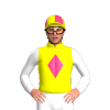 Jockey Silk