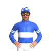 Jockey Silk