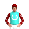 Jockey Silk