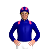 Jockey Silk