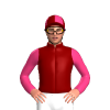 Jockey Silk