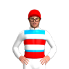 Jockey Silk