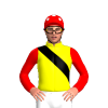 Jockey Silk