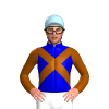 Jockey Silk