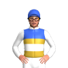 Jockey Silk