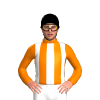 Jockey Silk