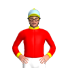 Jockey Silk