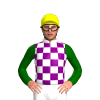 Jockey Silk