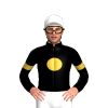 Jockey Silk