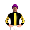 Jockey Silk