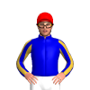 Jockey Silk