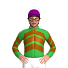 Jockey Silk