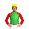 Jockey Silk