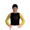 Jockey Silk
