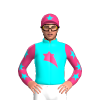 Jockey Silk