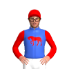 Jockey Silk