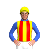Jockey Silk