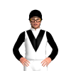 Jockey Silk