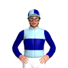 Jockey Silk