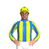 Jockey Silk